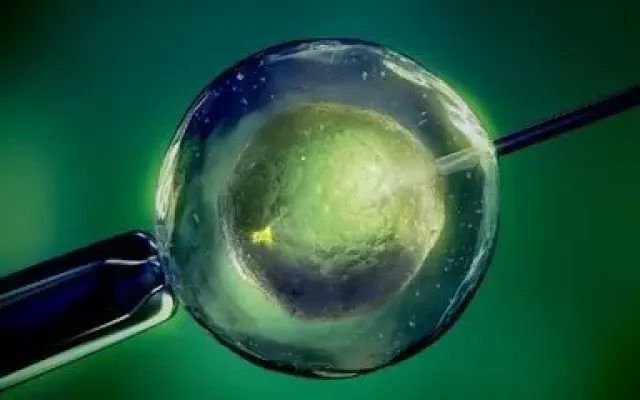 液氮存储